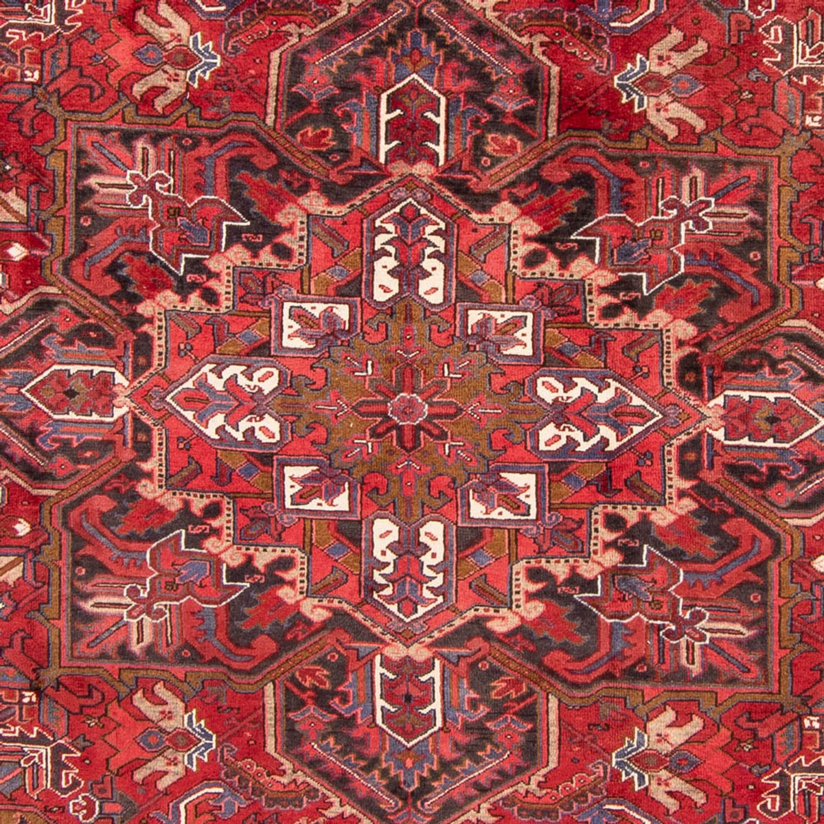 Tapis persan - Nomadic - 326 x 247 cm - rouge foncé