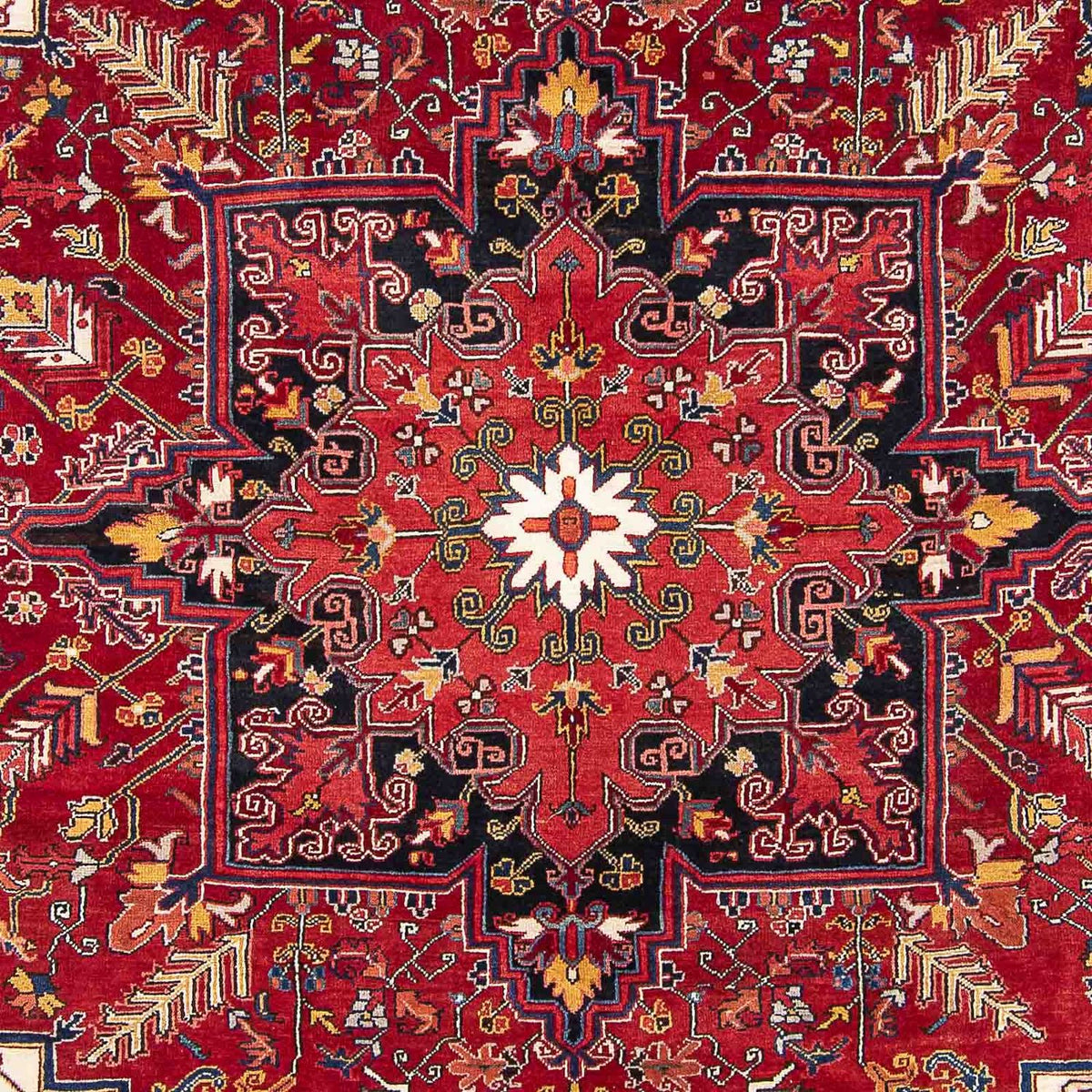 Tapis persan - Nomadic - 323 x 230 cm - rouge clair