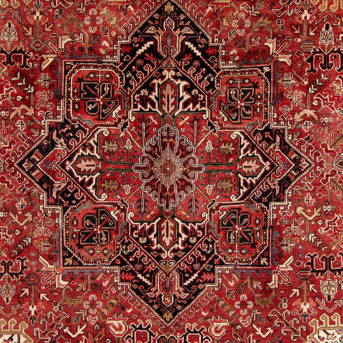 Tapis persan - Nomadic - 400 x 310 cm - rouge foncé