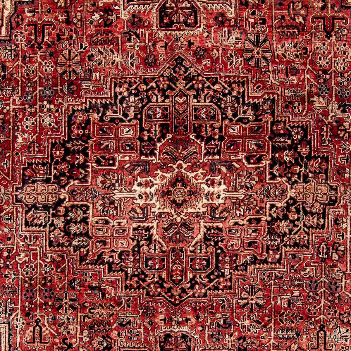 Tapis persan - Nomadic - 388 x 298 cm - rouge foncé
