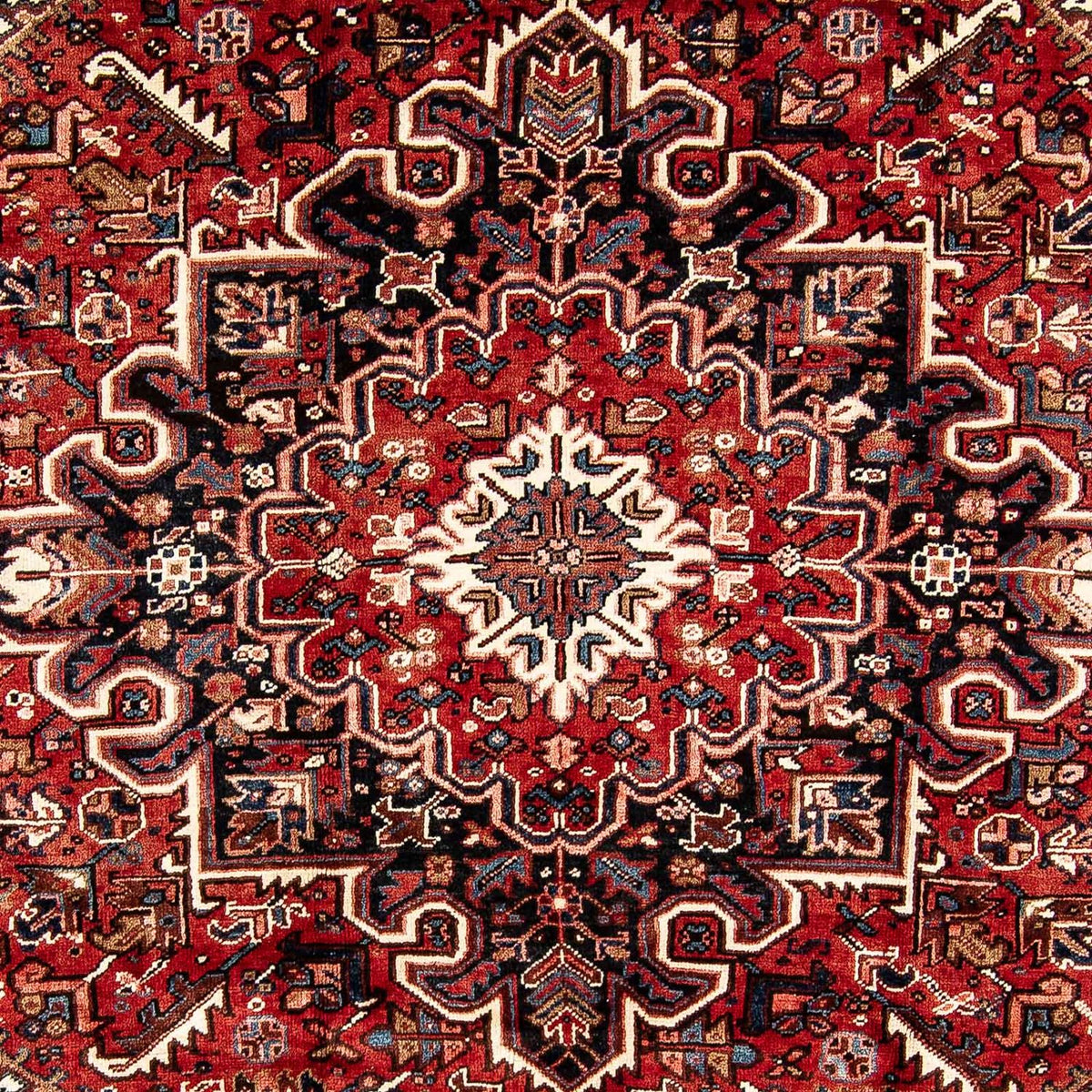 Tapis persan - Nomadic - 323 x 231 cm - rouge foncé