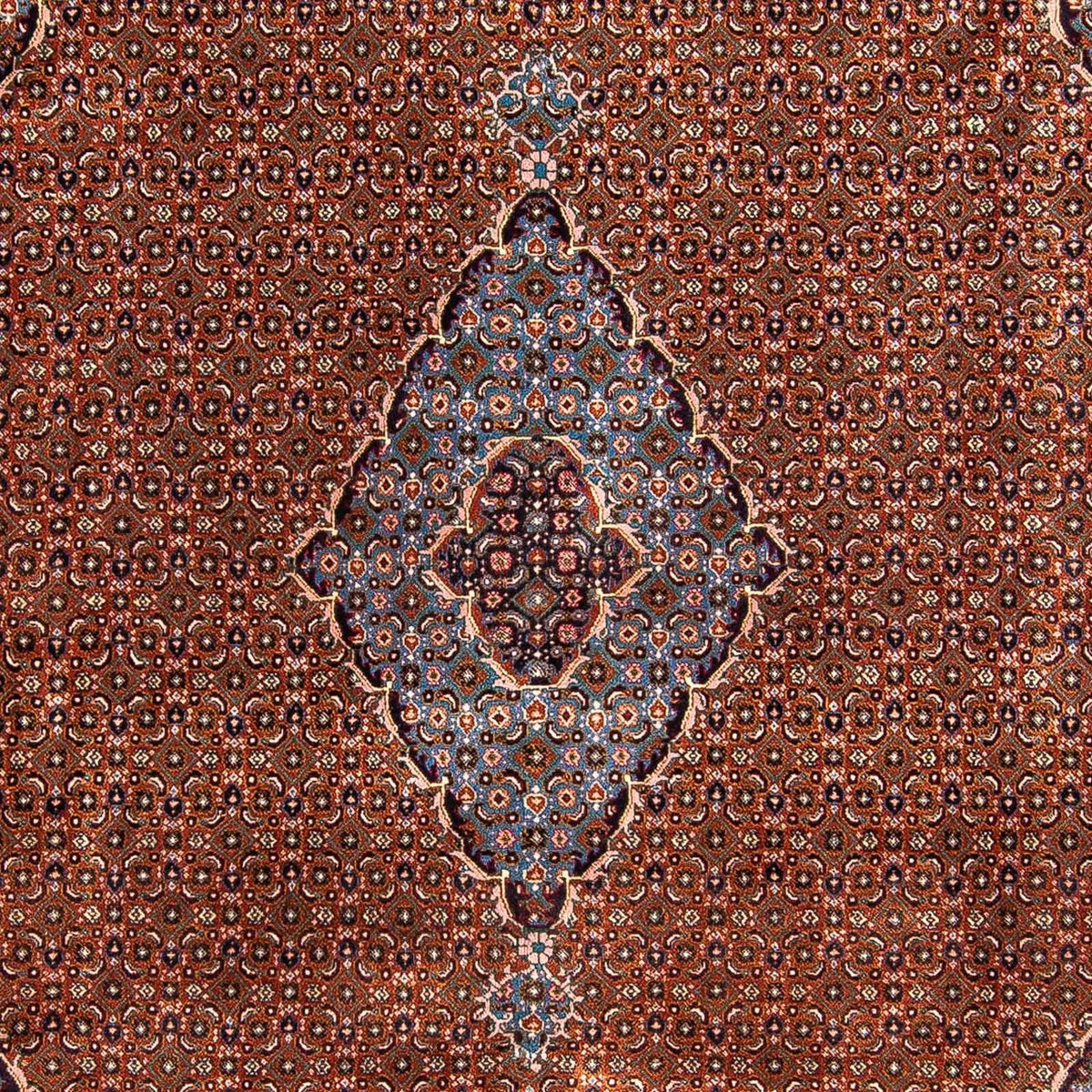 Tapis persan - Nomadic - 290 x 197 cm - multicolore