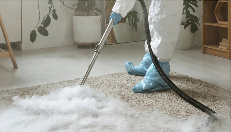 Nettoyage de tapis (Guide complet d'entretien quotidien) 