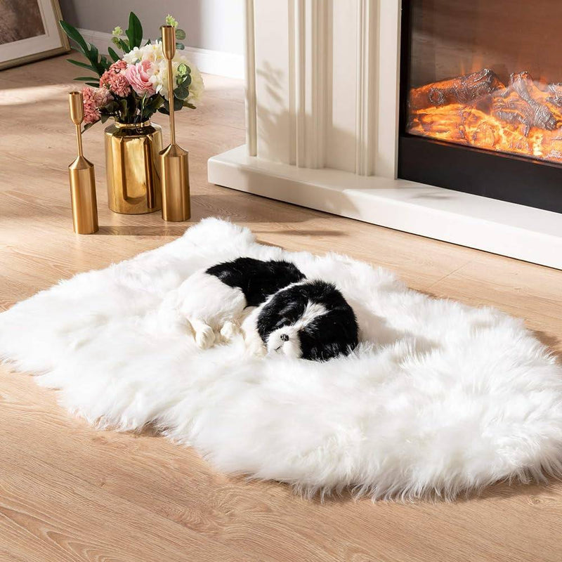 Les meilleurs tapis pour chiens 