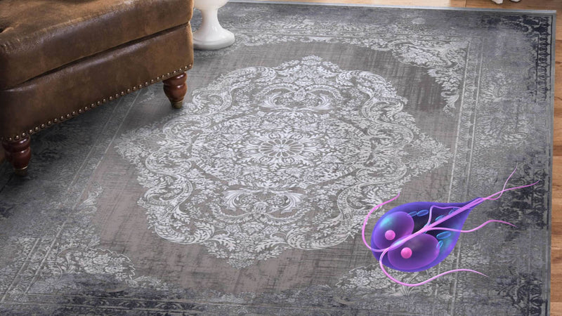 Giardia dans le tapis : combien de temps survivent-ils et que peuvent faire les propriétaires d'animaux ?