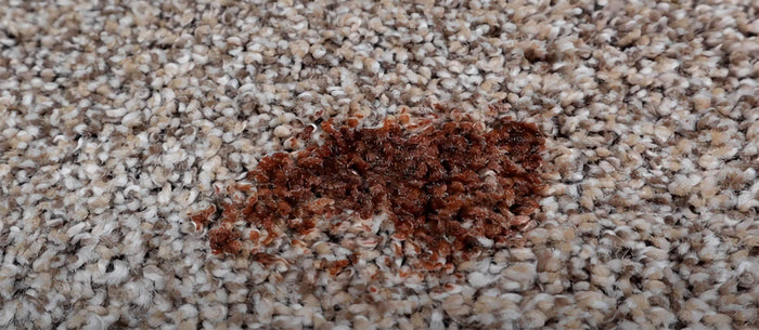 Comment enlever la teinture pour cheveux d'un tapis ?