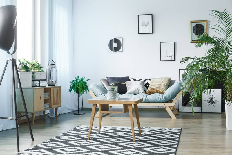 Tapis de salon : conseils et inspiration 