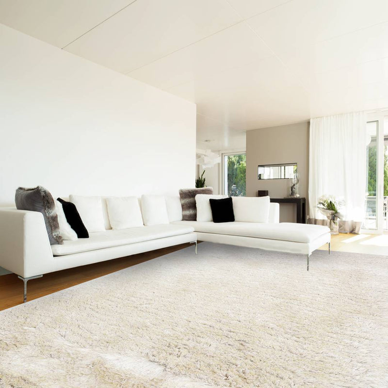 Salon - tapis blancs 