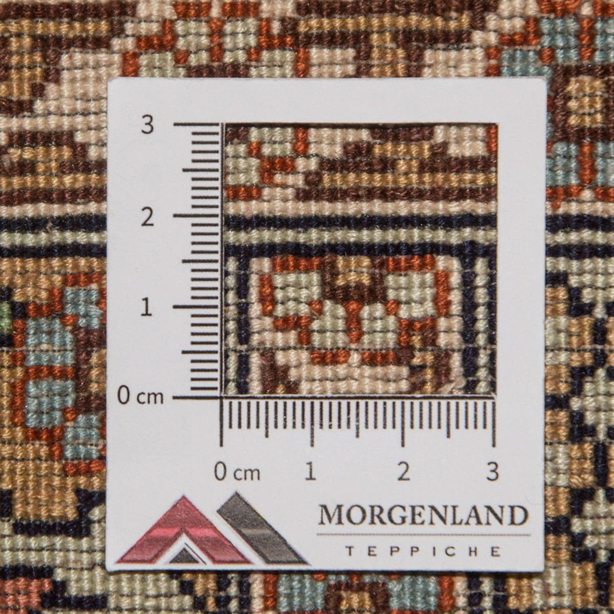 Tapis en soie - Soie du Cachemire - 308 x 241 cm - multicolore