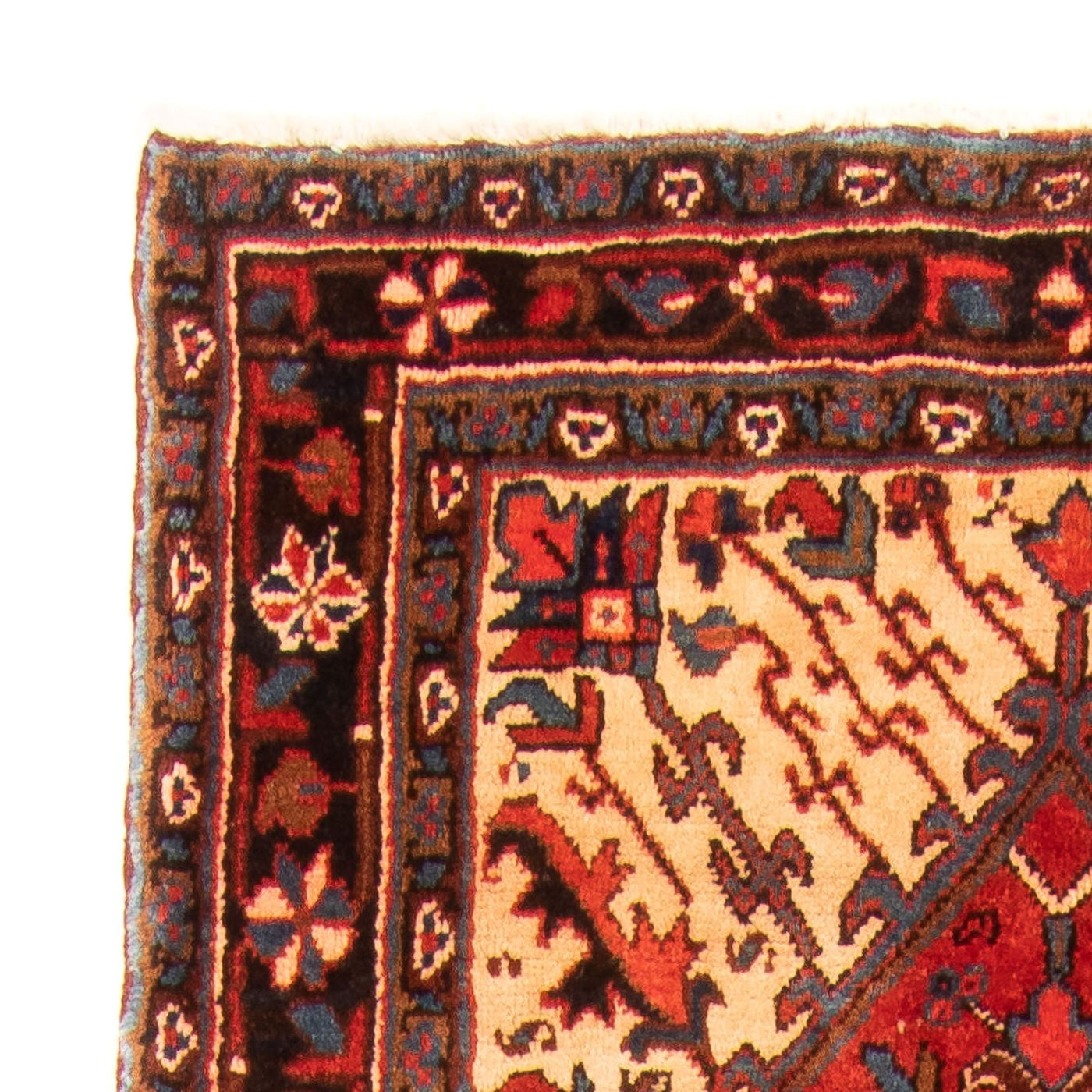 Tapis de Gholtogh Tapis 258x112cm - Tapis persan