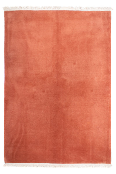 Tapis Népalais 170x239cm - Tapis en laine