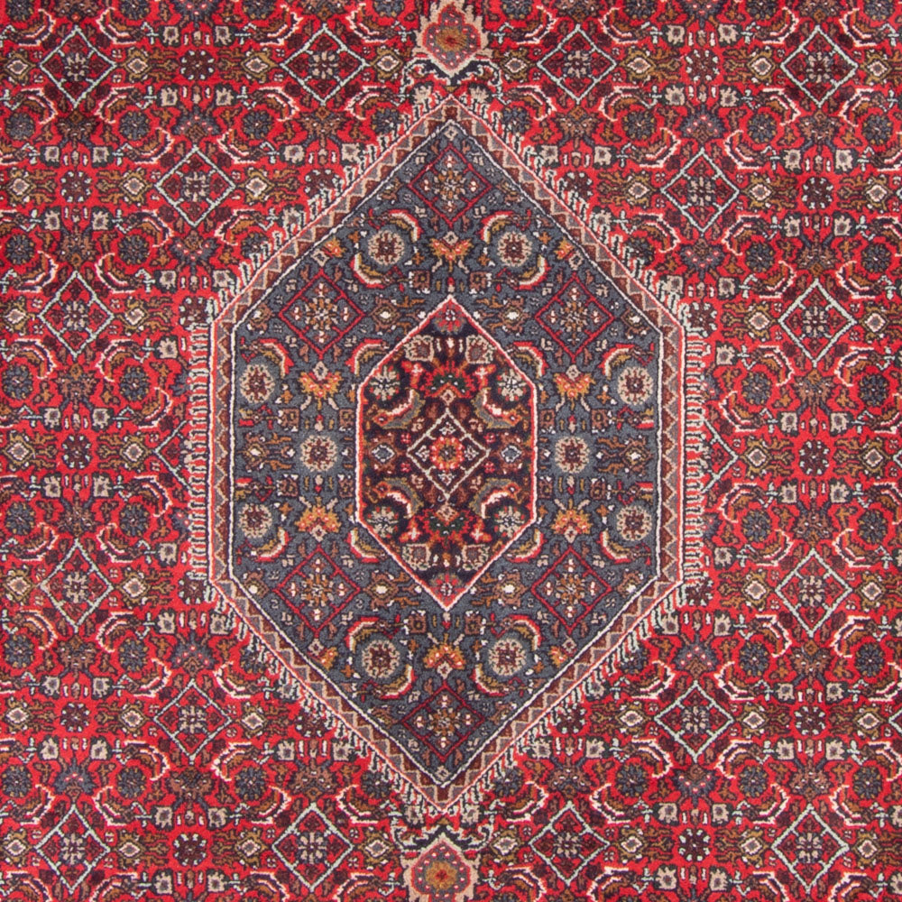 Tapis oriental - Bidjar - Indus - 338 x 251 cm - rouge