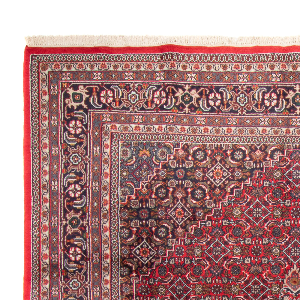 Tapis de Bidjar indien Tapis 251x338cm - Tapis oriental