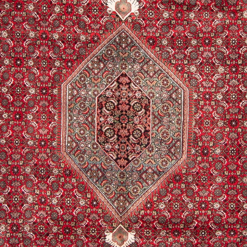 Tapis oriental - Bidjar - Indus - 361 x 255 cm - rouge