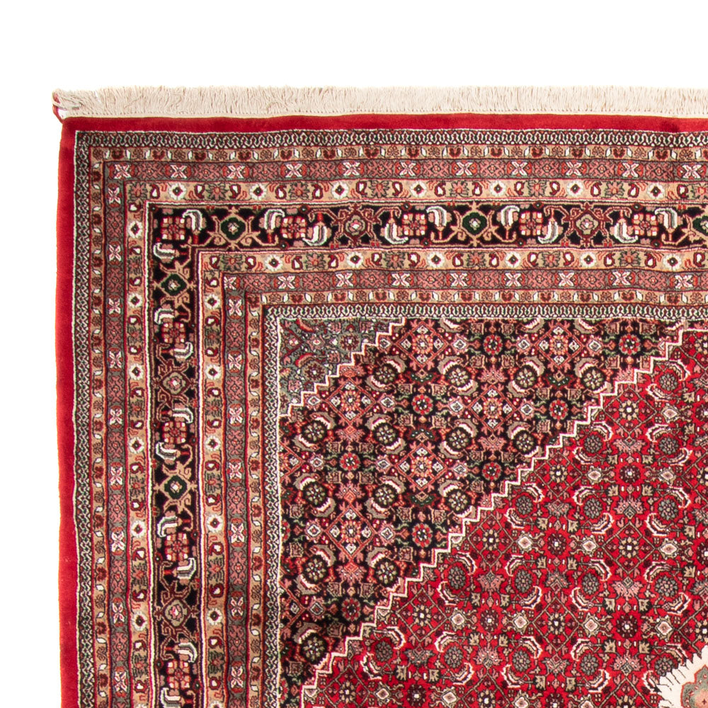 Tapis de Bidjar indien Tapis 255x361cm - Tapis oriental - rouge
