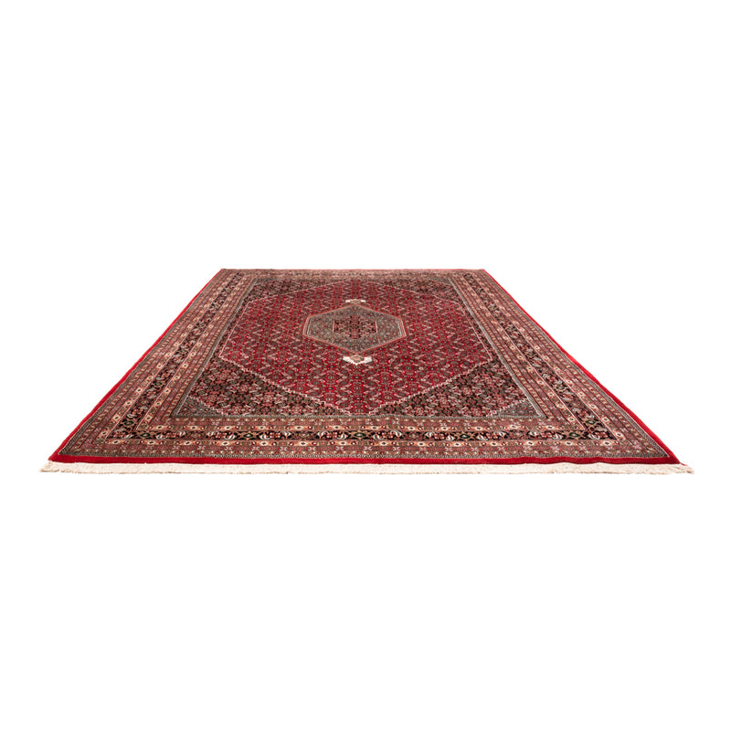 Tapis oriental - Bidjar - Indus - 361 x 255 cm - rouge