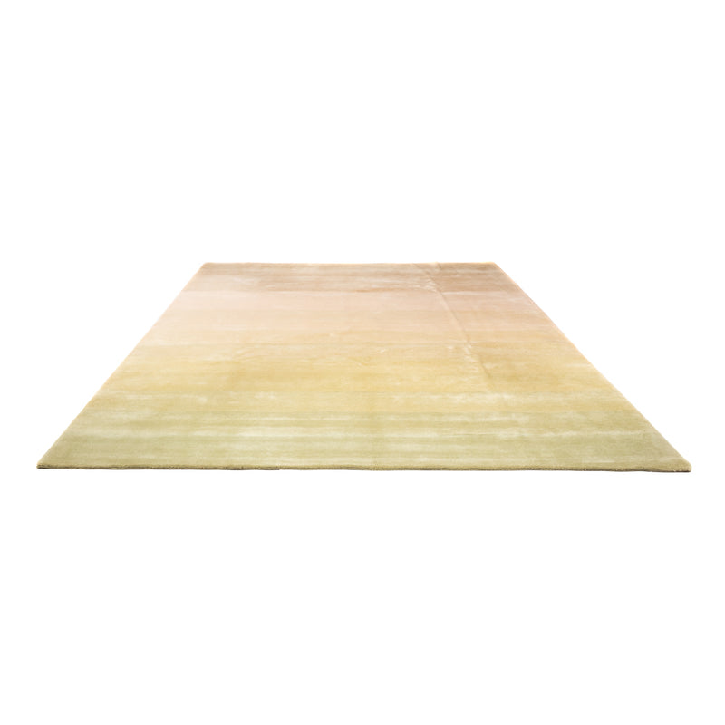 Tapis Népalais - Royal - 345 x 252 cm - multicolore