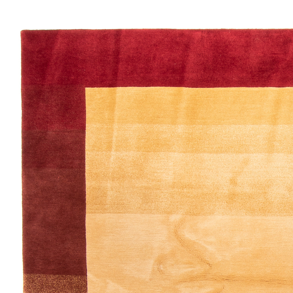 Tapis Népalais 251x352cm - Tapis en laine