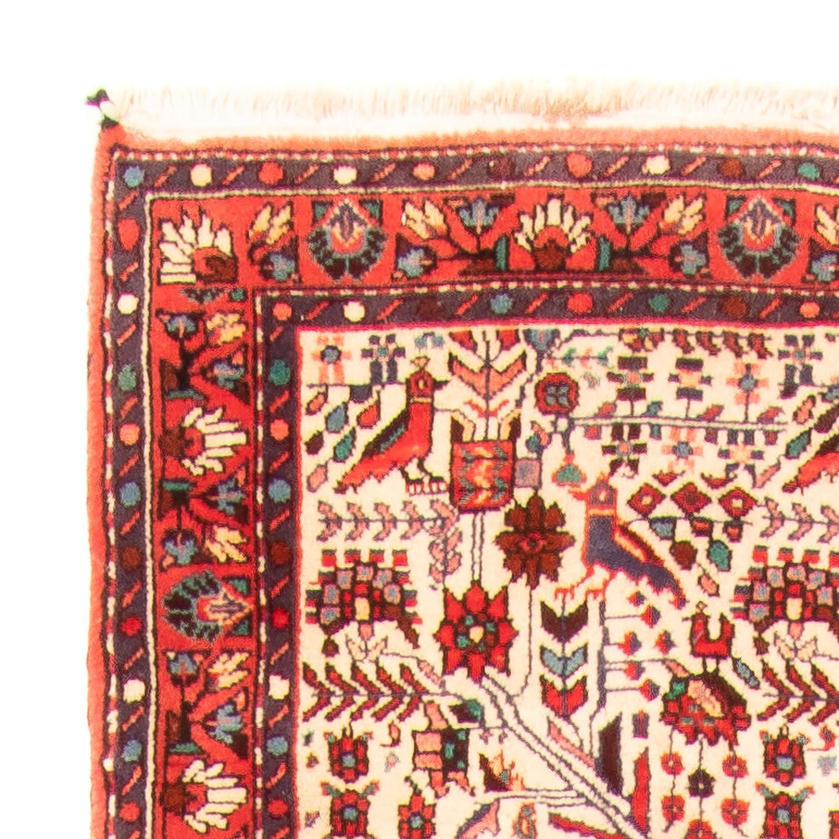 Tapis de Rudbar Tapis 169x301cm - Tapis persan