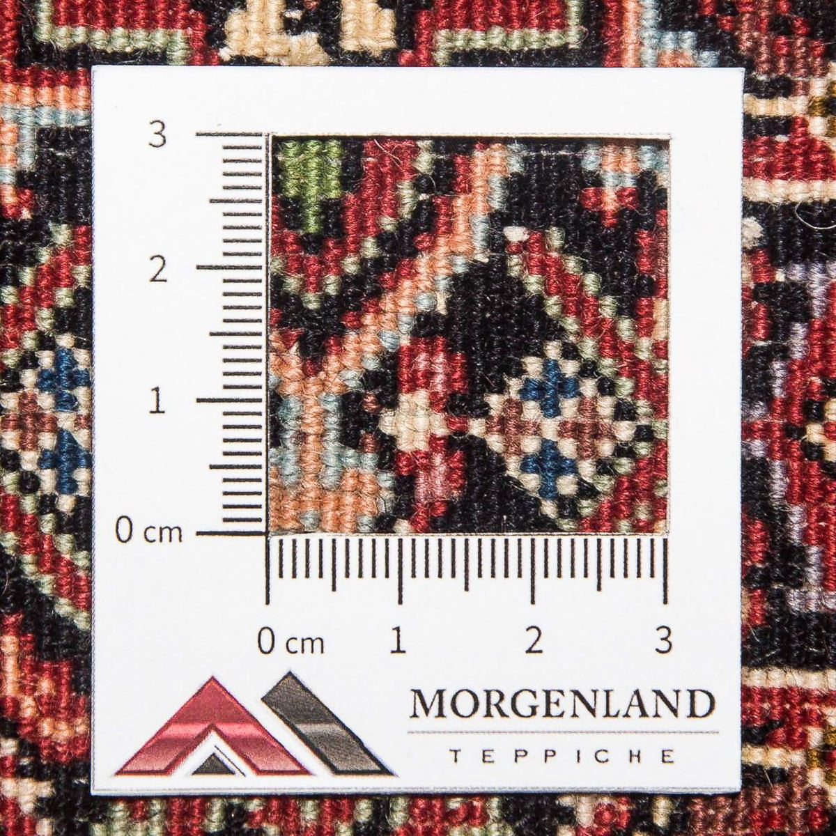 Tapis de couloir Tapis persan - Bidjar - 214 x 75 cm - multicolore