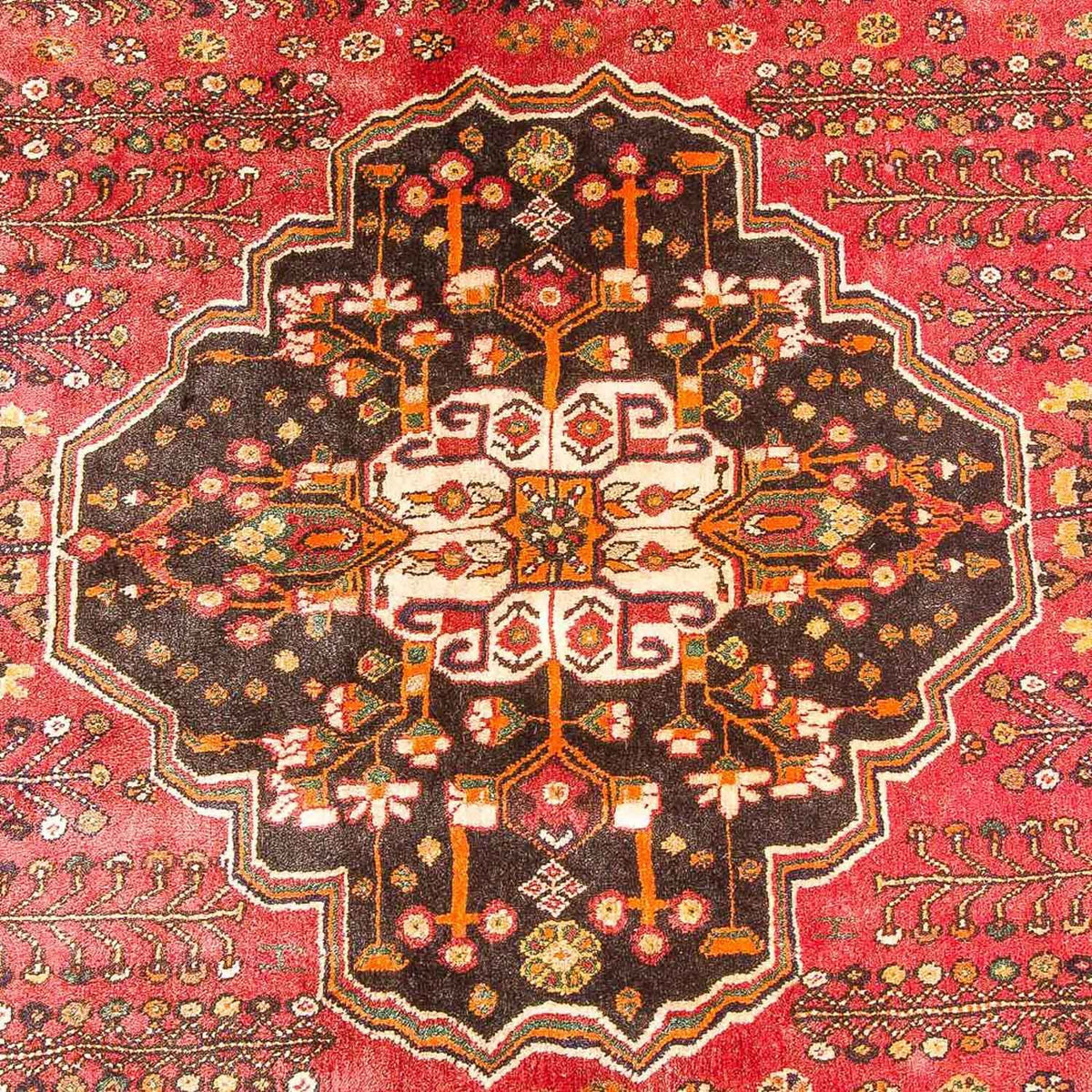 Tapis persan - Nomadic - 253 x 161 cm - rouille