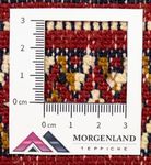 Tapis de couloir Tapis Turkaman - 100 x 50 cm - rouge