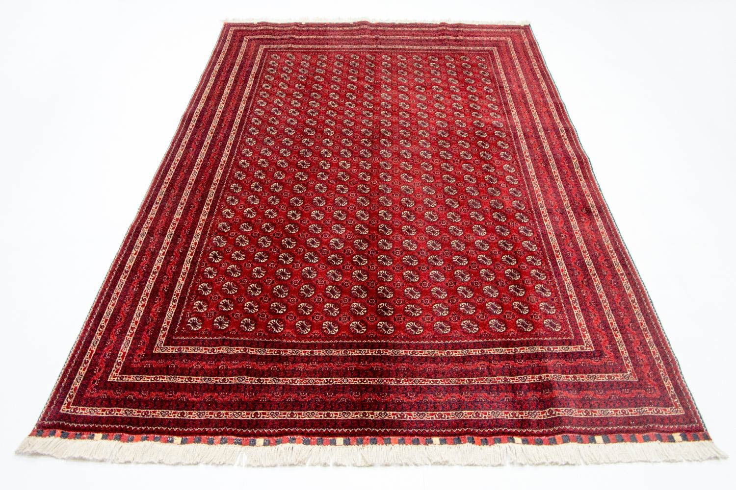 Tapis afghan - Boukhara - 300 x 195 cm - rouge