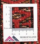 Tapis de couloir Tapis Turkaman - 100 x 50 cm - rouge