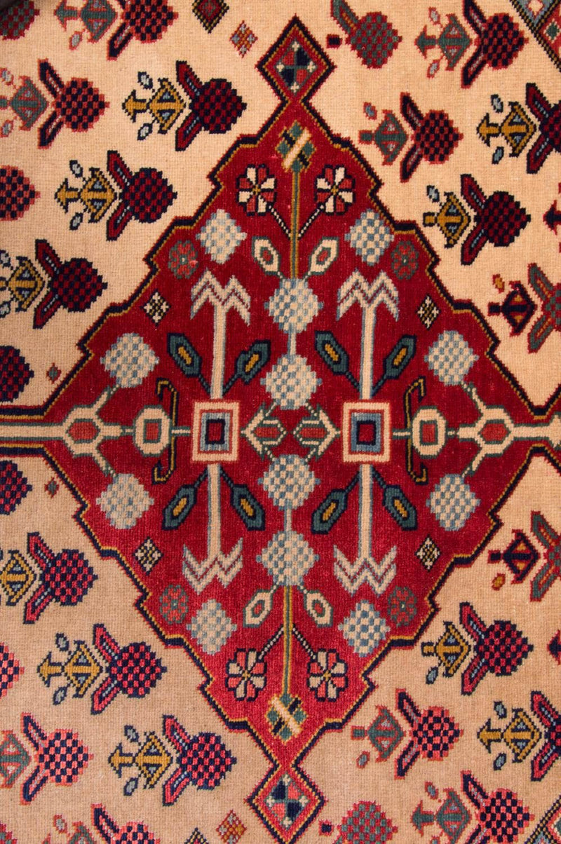 Tapis Ziegler - Shirvan - 200 x 133 cm - rouge
