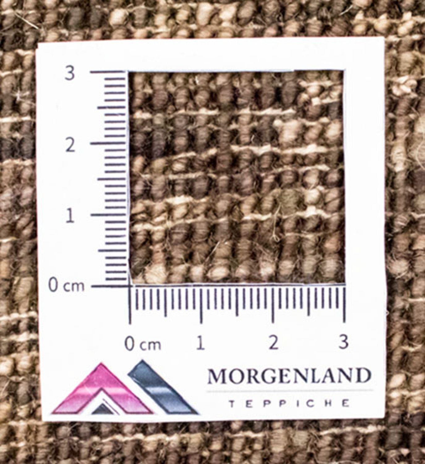 Tapis Ziegler - Moderne - 330 x 269 cm - multicolore
