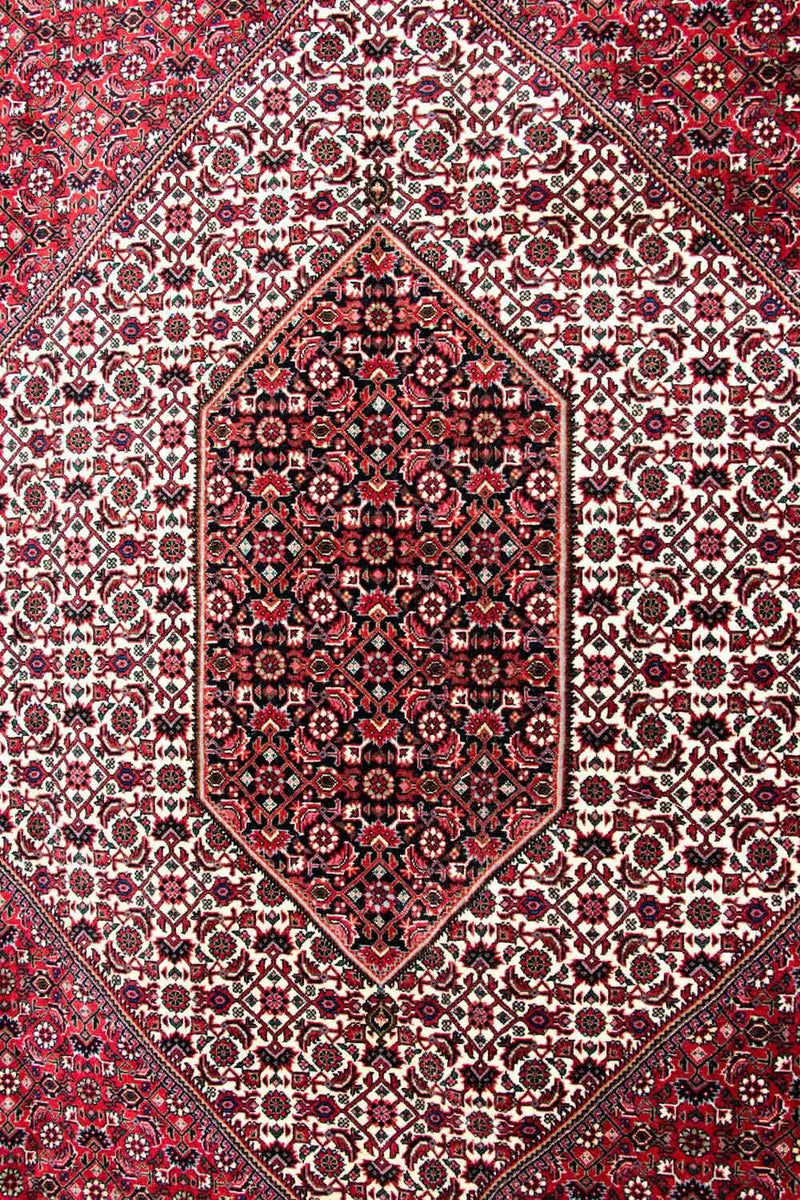 Tapis persan - Bidjar - 310 x 250 cm - beige