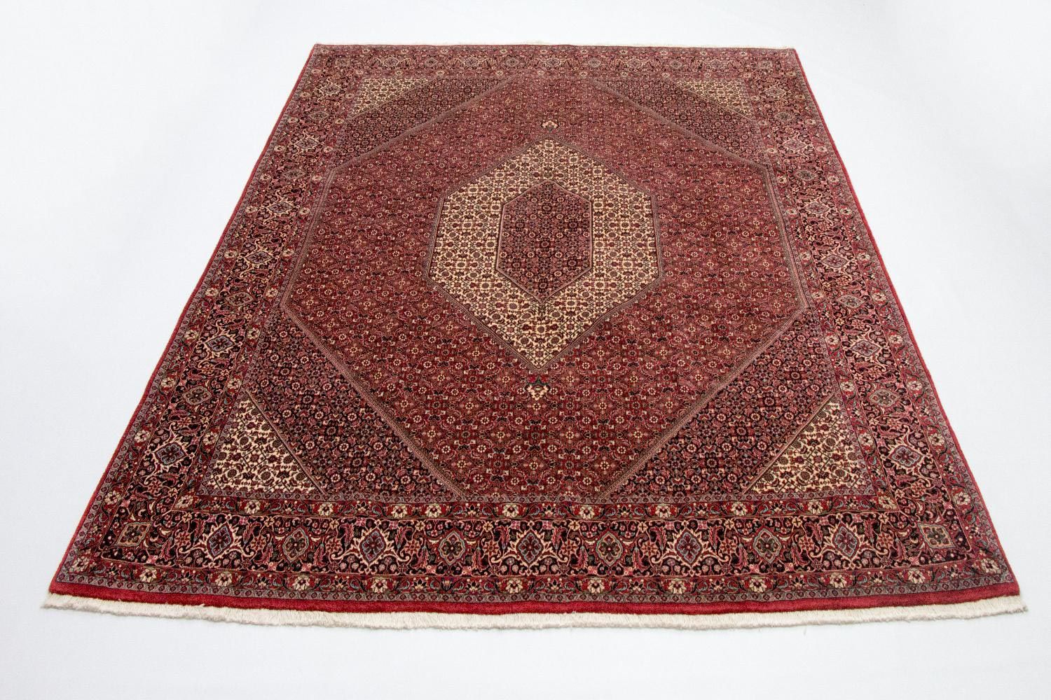 Tapis persan - Bidjar - 310 x 250 cm - beige