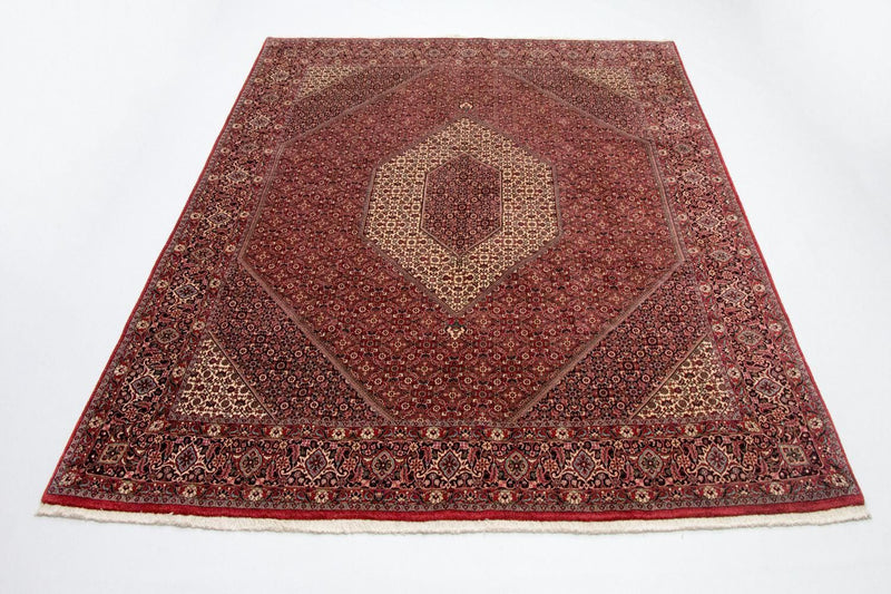 Tapis persan - Bidjar - 310 x 250 cm - beige