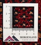 Tapis de couloir Tapis Turkaman - 100 x 50 cm - rouge