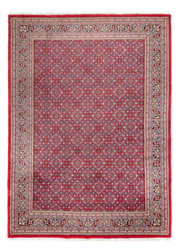 Tapis oriental - Bidjar - Indus - 353 x 253 cm - rouge
