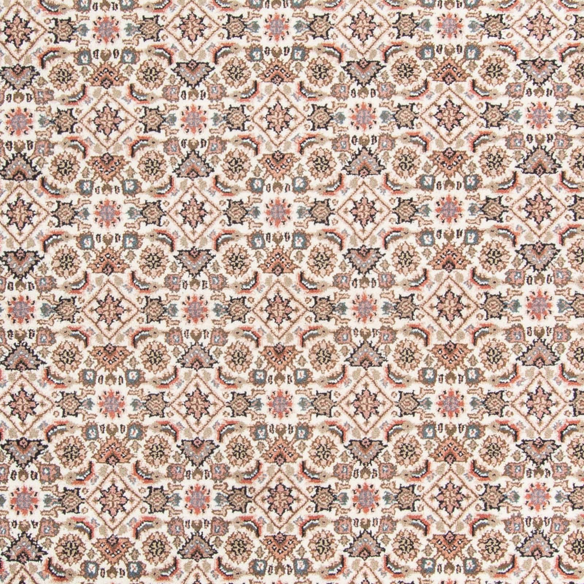 Tapis oriental - Bidjar - Indus - 355 x 249 cm - beige