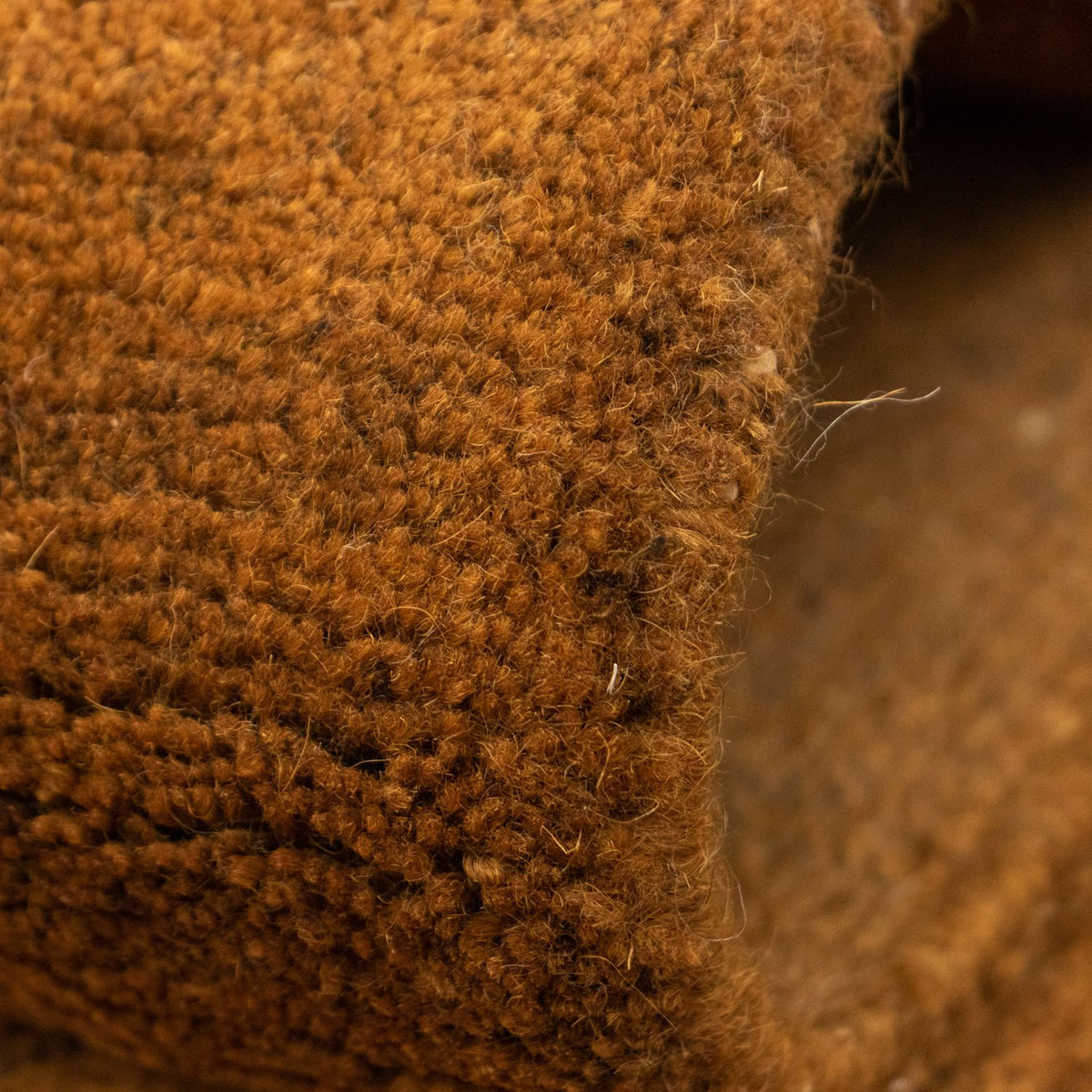 Tapis Népalais - 340 x 248 cm - marron