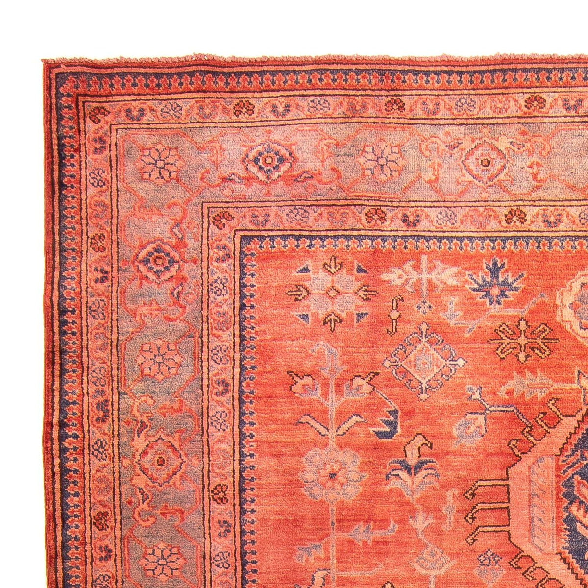 Tapis Ziegler - Kazak - 244 x 183 cm - rouge clair