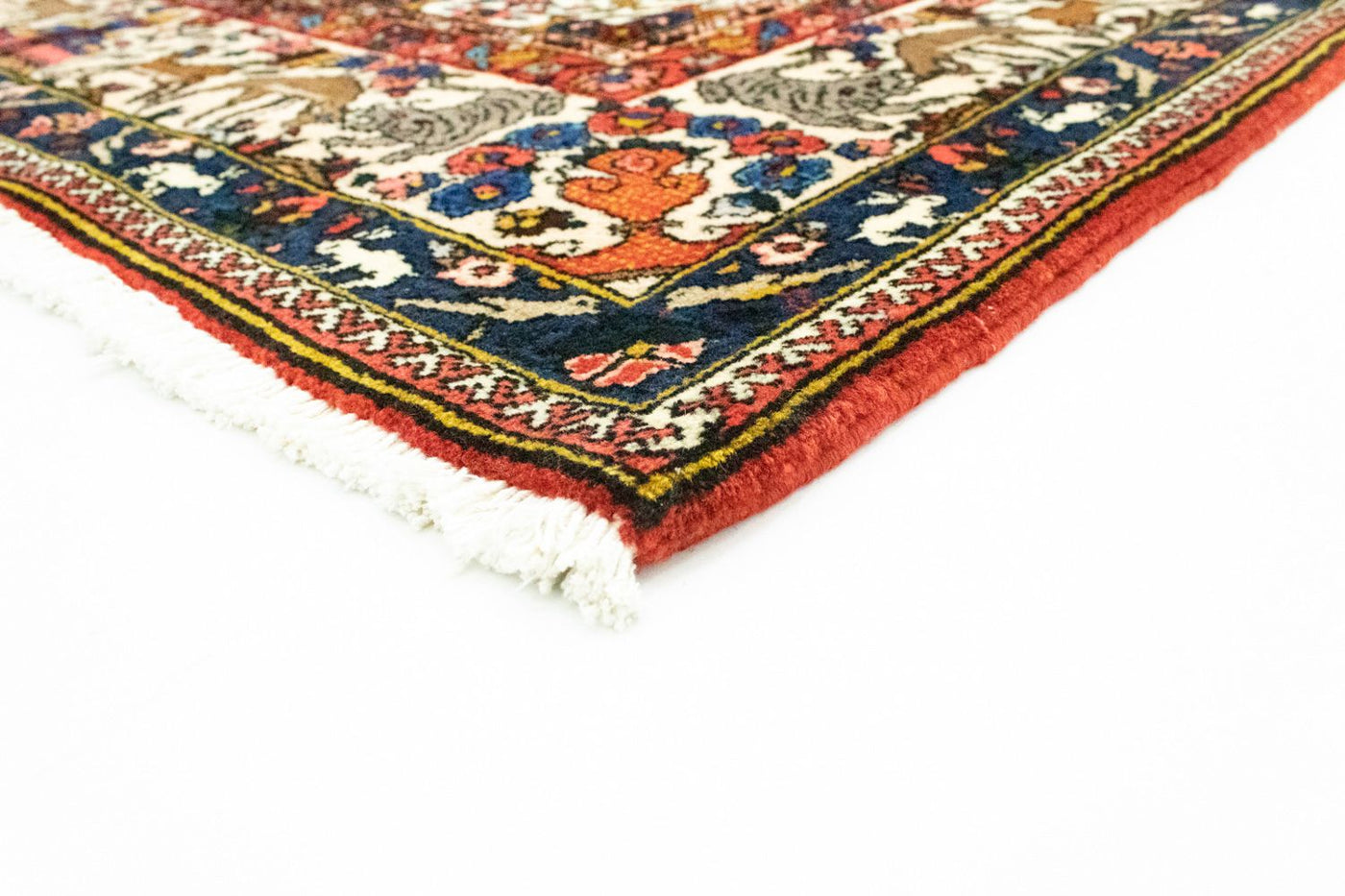 Tapis Bakhtiari Tapis 315x207cm - Tapis persan