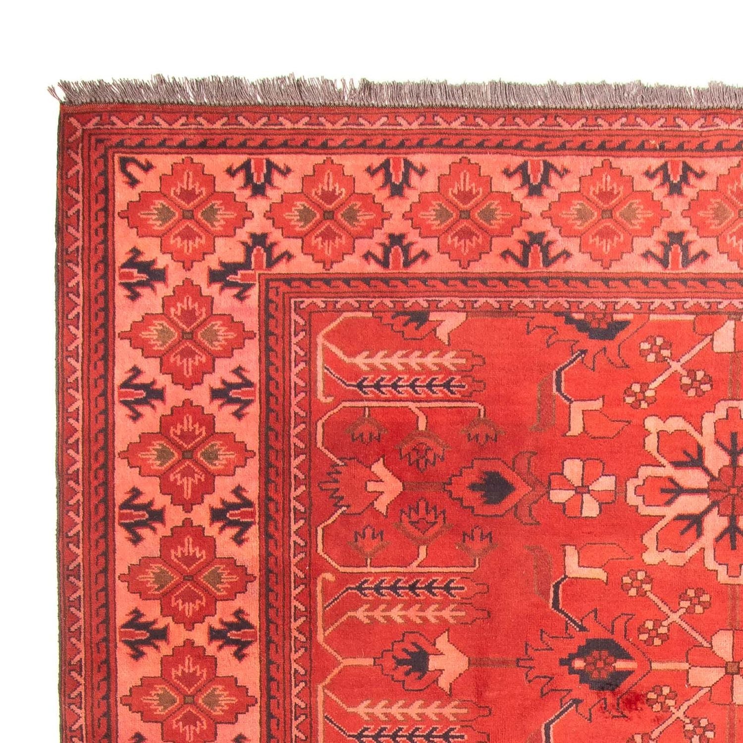 Tapis afghan - Hatschlu - 296 x 210 cm - rouge foncé
