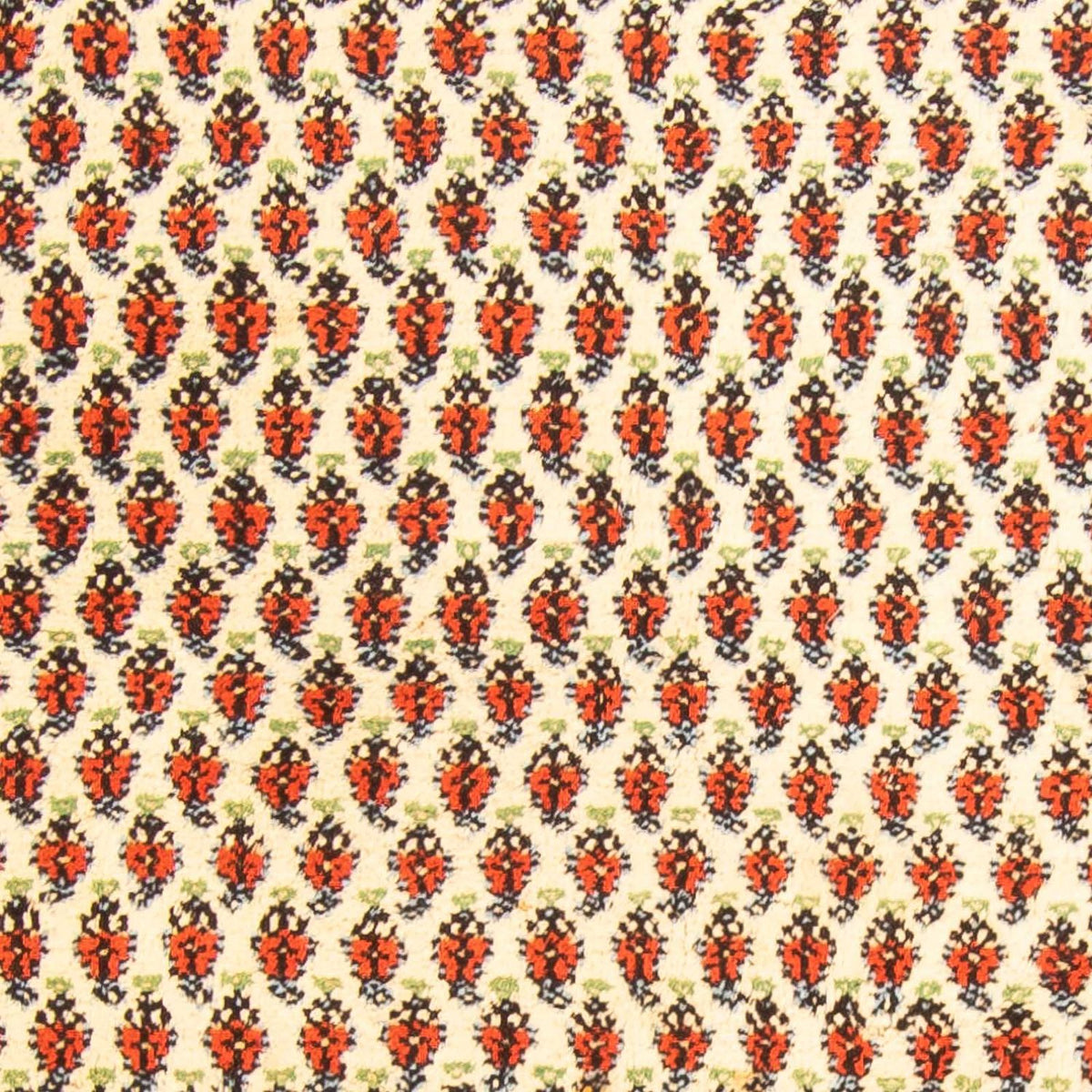 Tapis oriental - Mir - Indus - 238 x 174 cm - beige