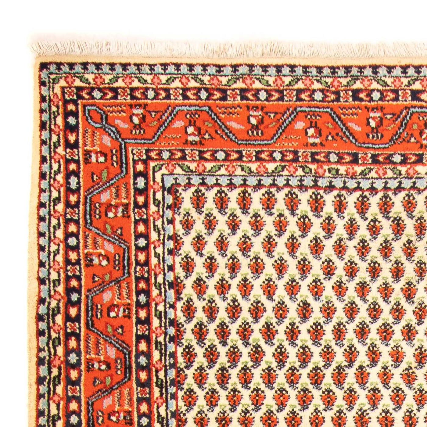Tapis de Mir indien Tapis 238x174cm - Tapis oriental