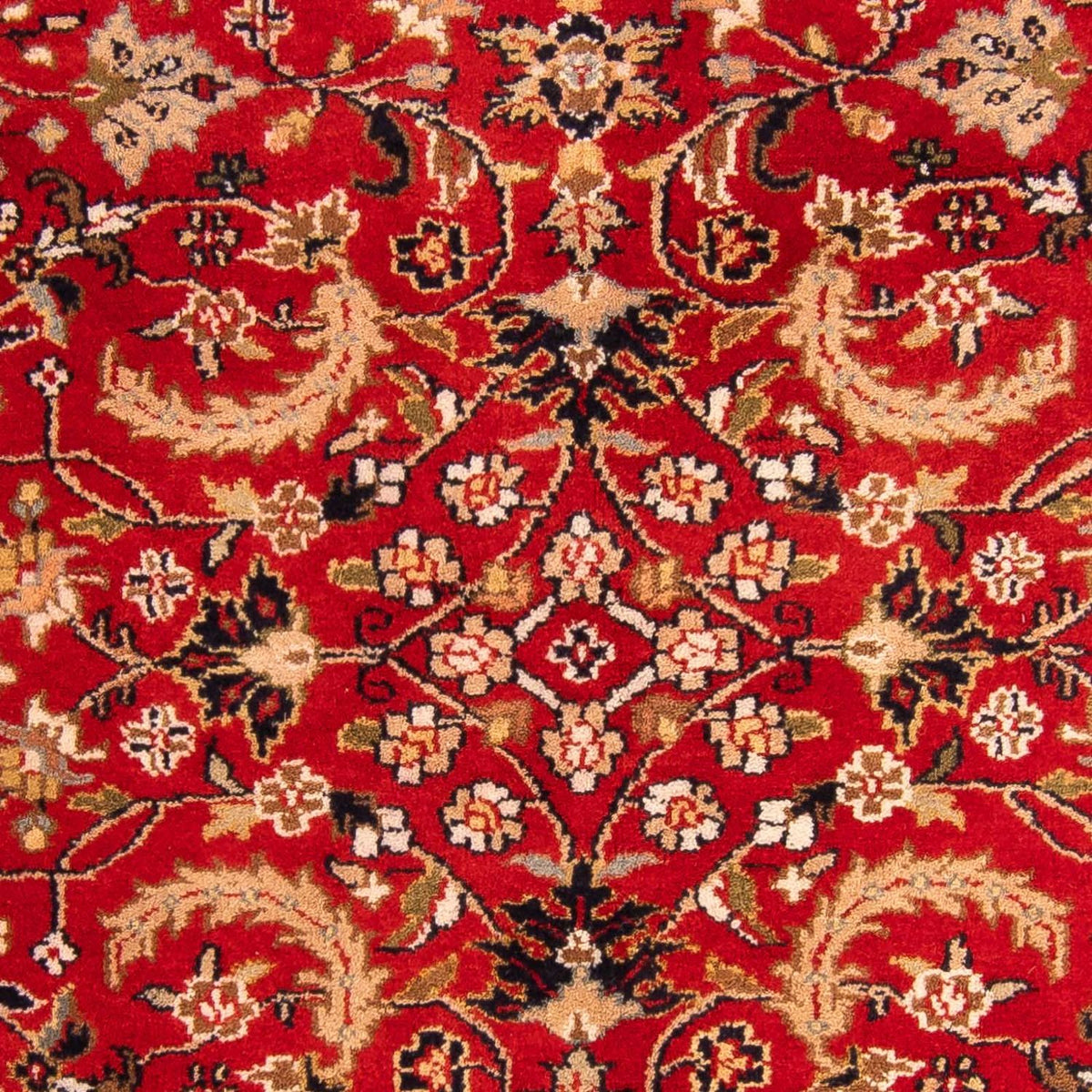 Tapis oriental - Bidjar - Indus - 176 x 119 cm - rouge foncé