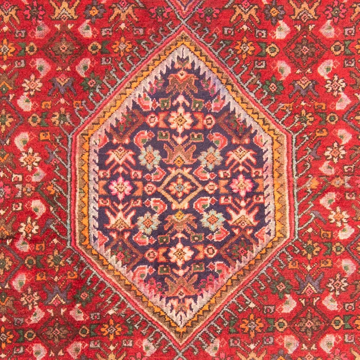 Tapis de couloir Tapis persan - Bidjar - 222 x 128 cm - rouge clair