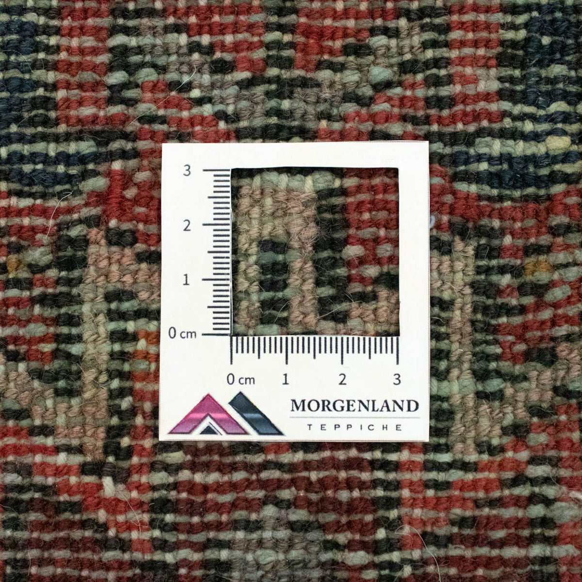 Tapis de couloir Tapis persan - Nomadic - 420 x 67 cm - beige