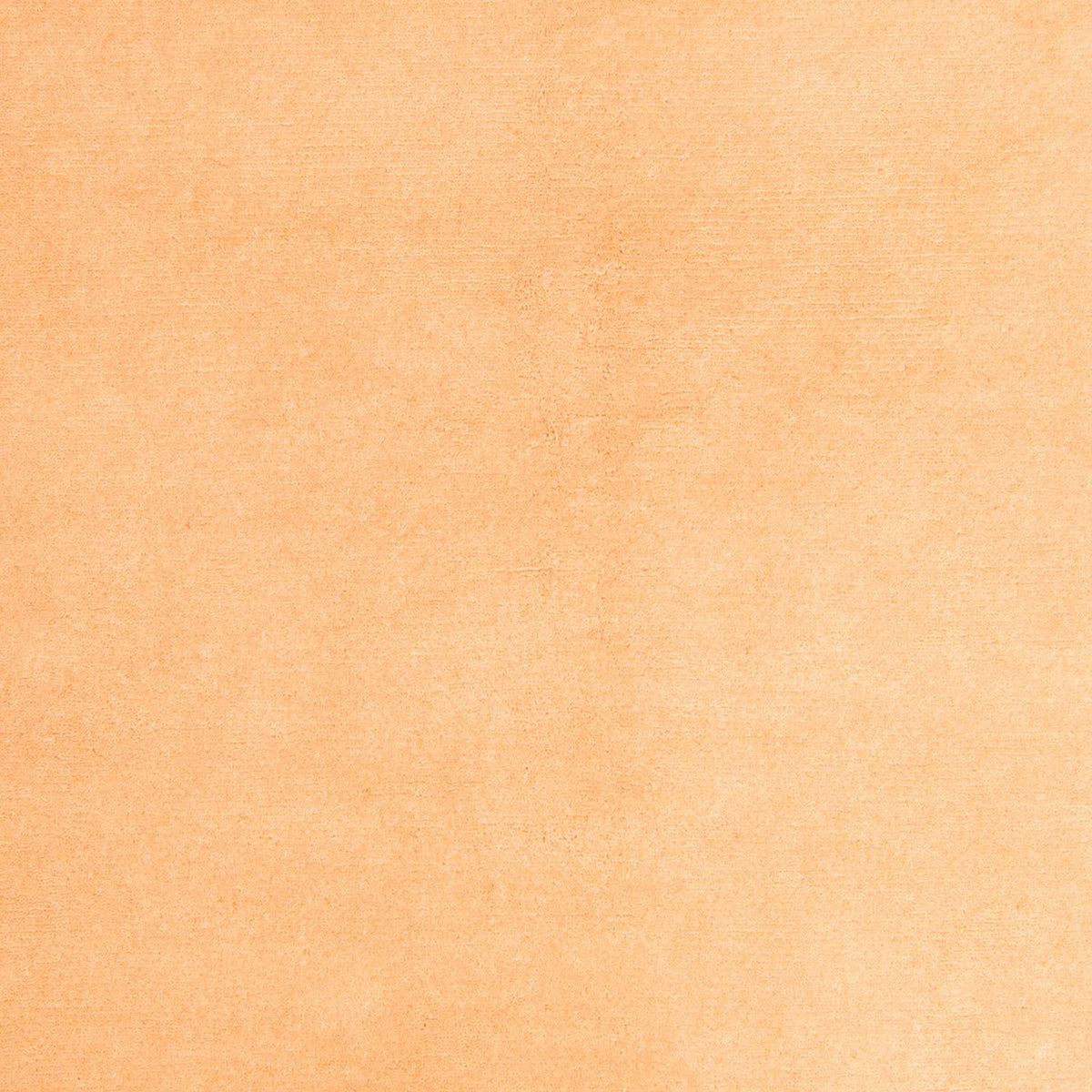 Tapis Népalais - 237 x 170 cm - beige