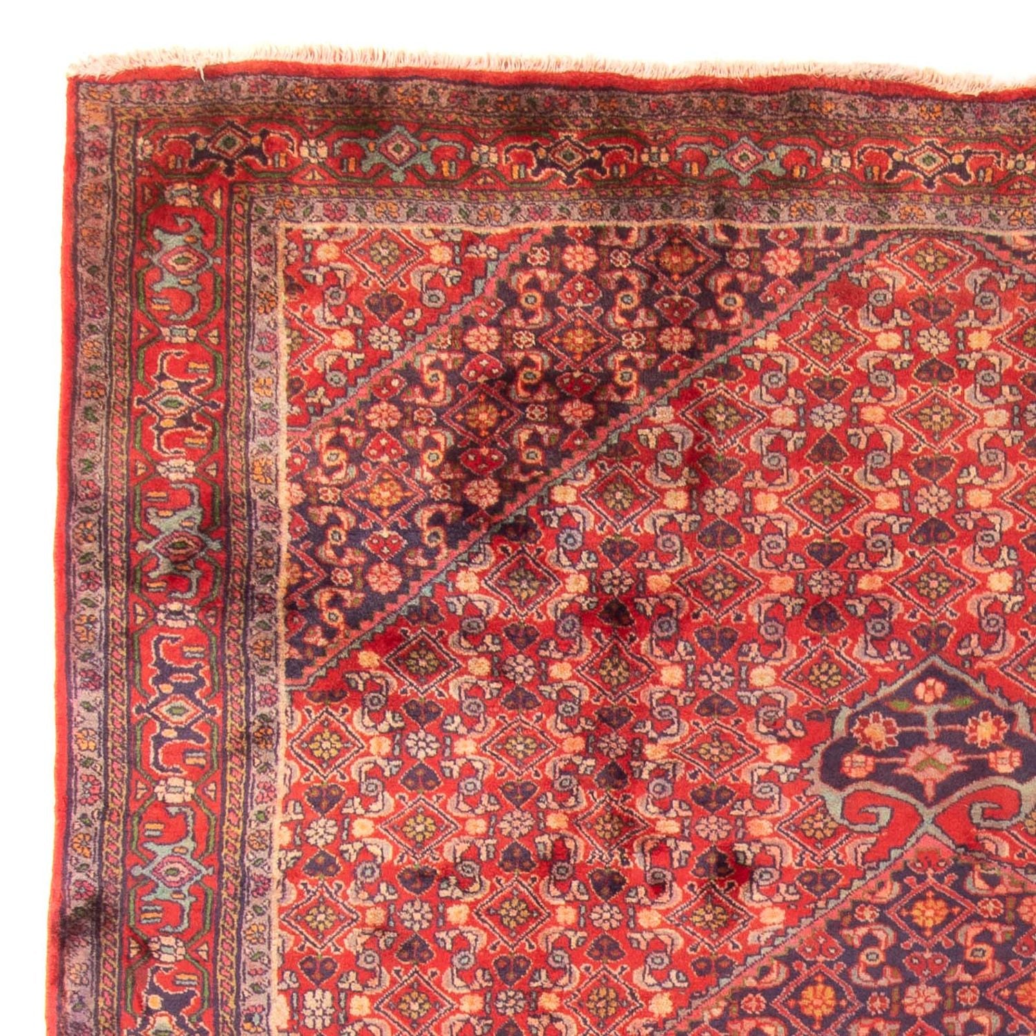 Tapis persan - Nomadic - 290 x 203 cm - rouge