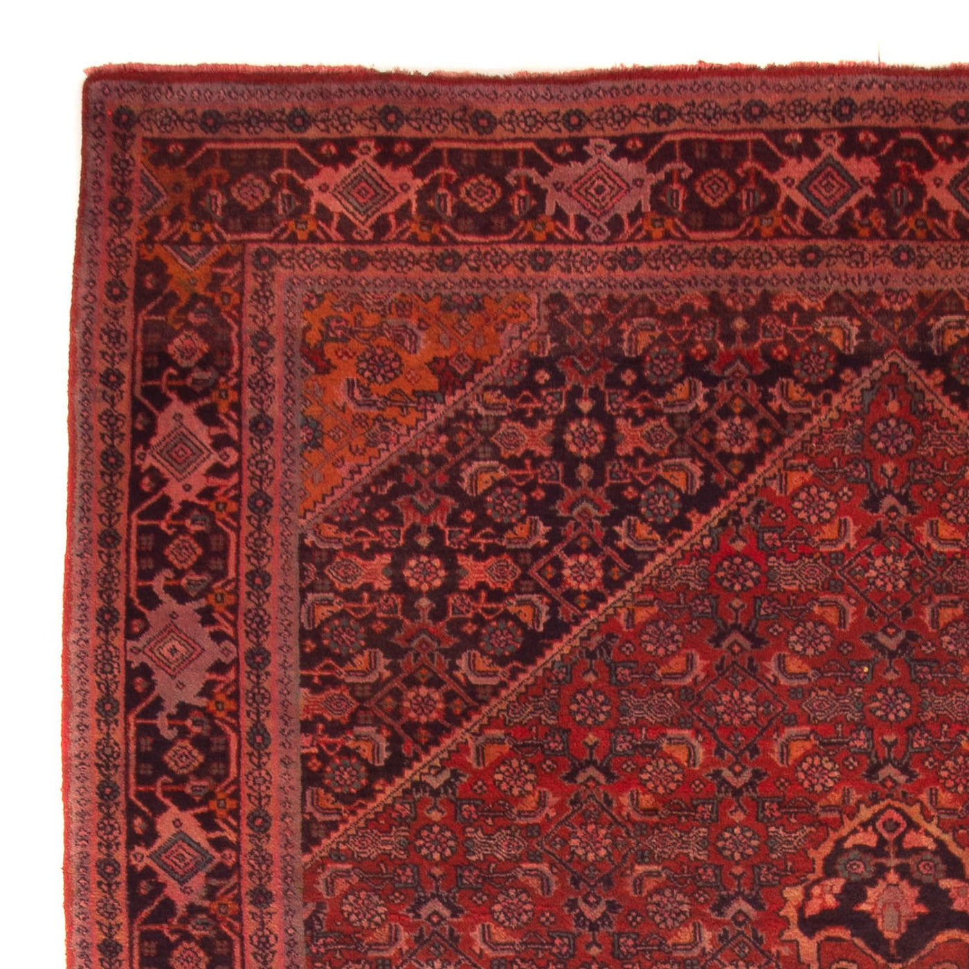 Bidjar - Takab Tapis 327x220cm - Tapis persan