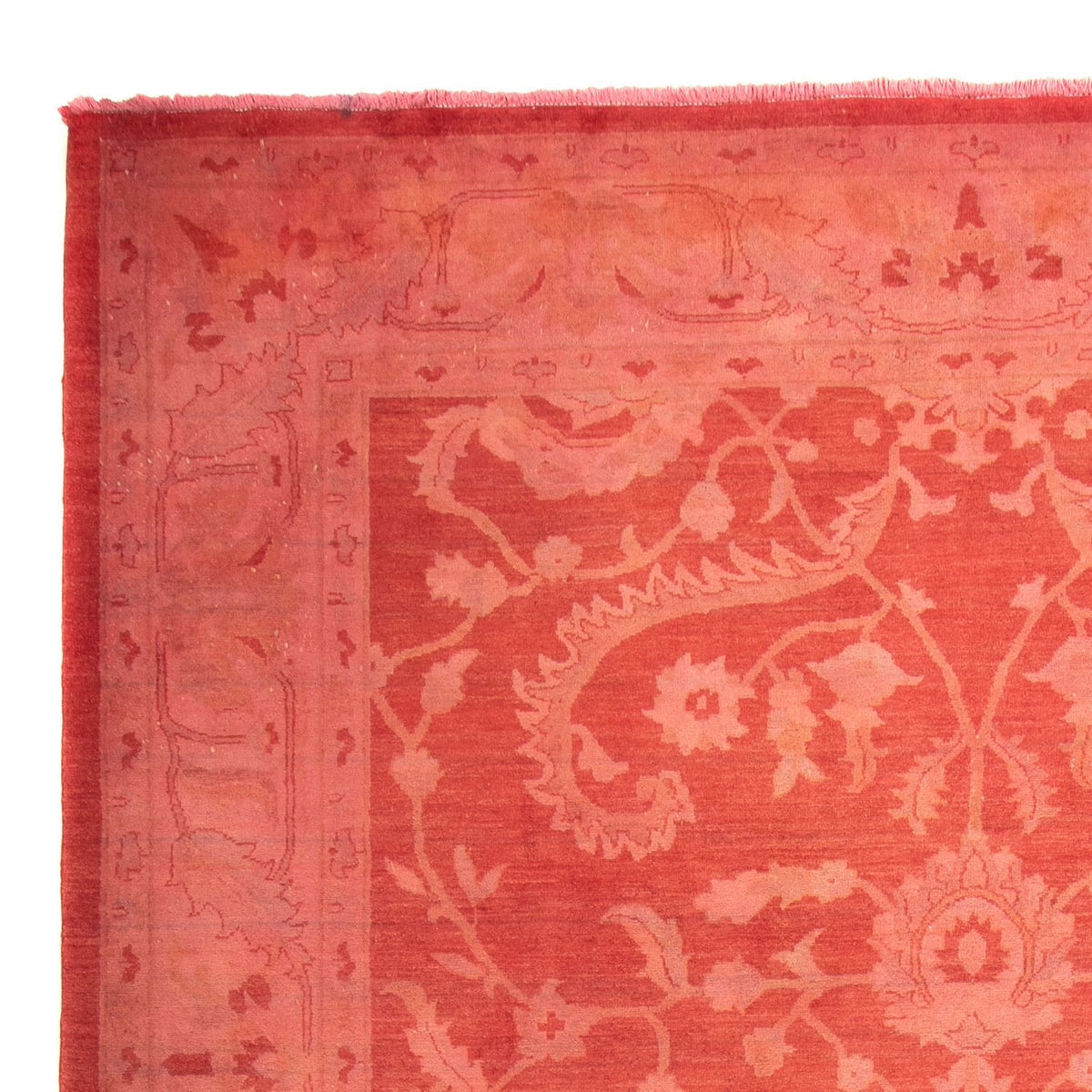Tapis Ziegler 256x365cm - Tapis oriental