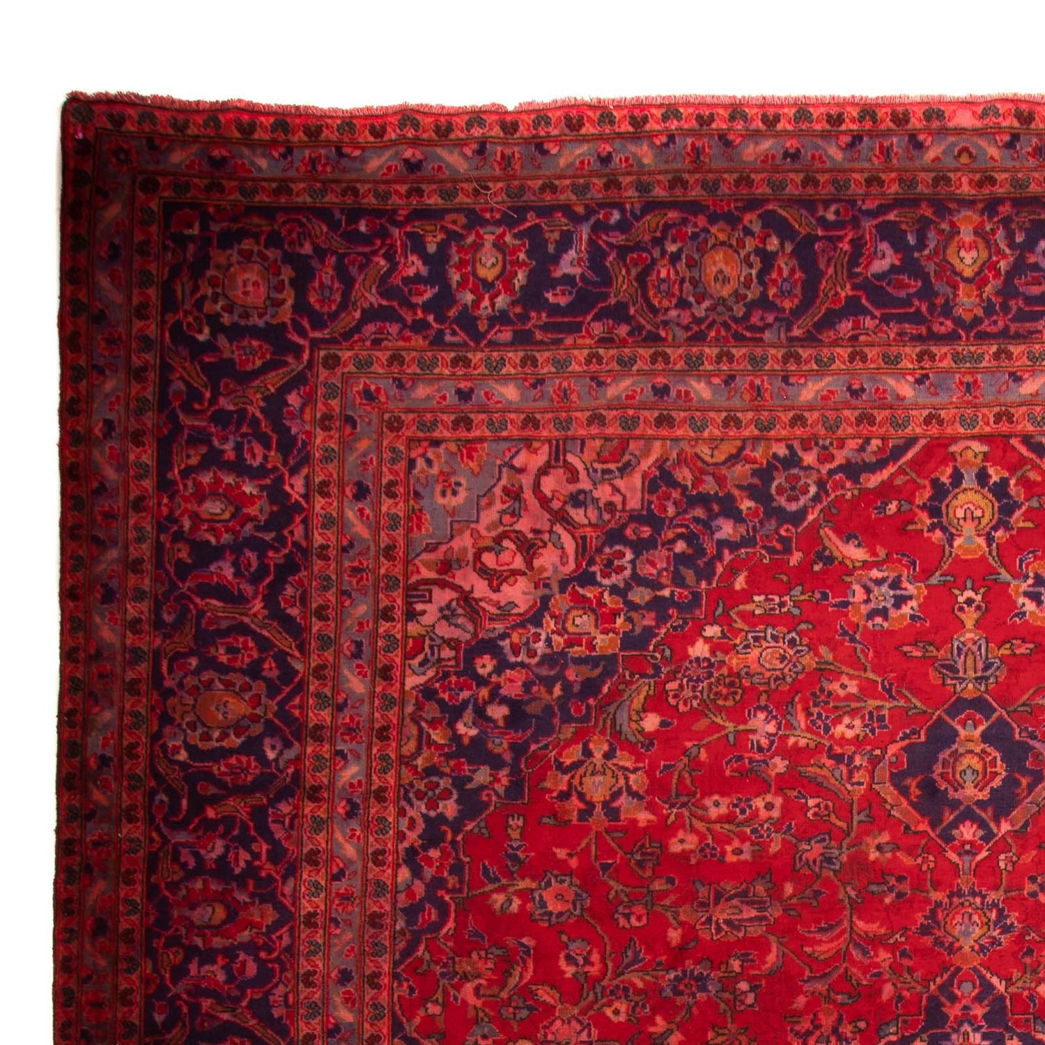 Tapis persan - Keshan - 425 x 300 cm - rouge
